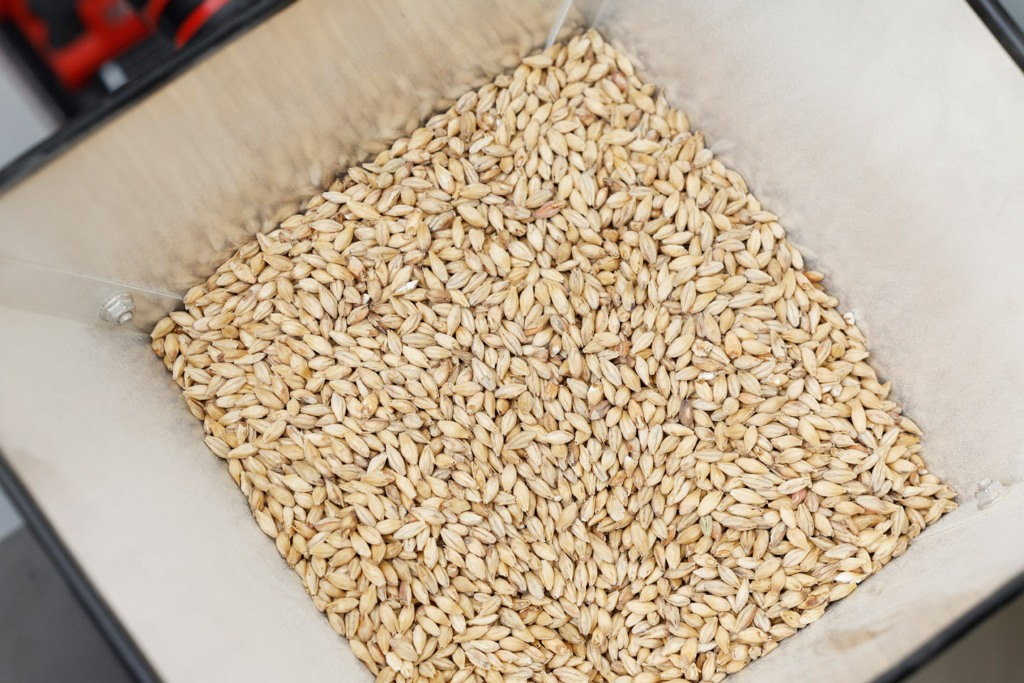 Malt in machinery about to be processed