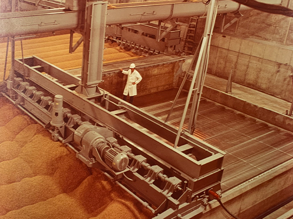 Expansion & Growth 1946 Image